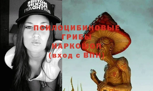 apvp Кинешма