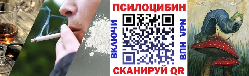 Купить закладки  Дагестанские Огни  Галлюциногенные грибы прущие грибы 